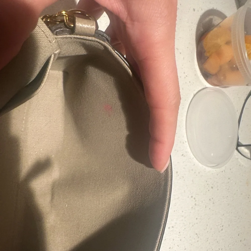 Louis Vuitton Beige Crossbody Bag with Gold Chain - Picture 3 of 13